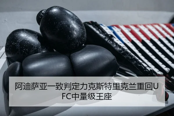 a-di-sa-ya-yi-zhi-pan-ding-li-ke-si-te-li-ke-lan-zhong-hui-zhong-liang-ji-wang-zuo-2-403.jpg