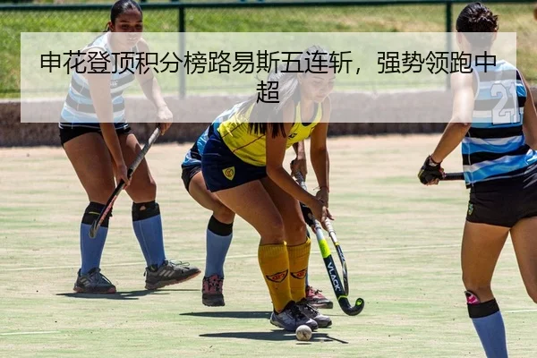 申花登顶积分榜路易斯五连斩，强势领跑中超